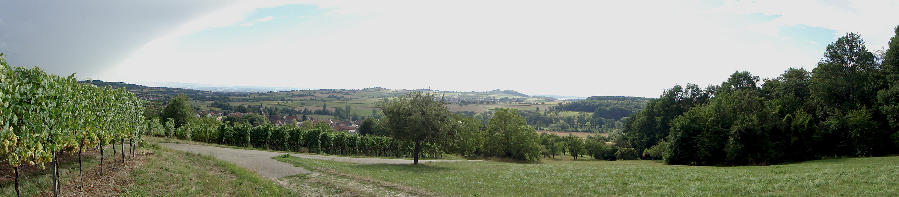 Panorama Rehberg bei Wittlingen
