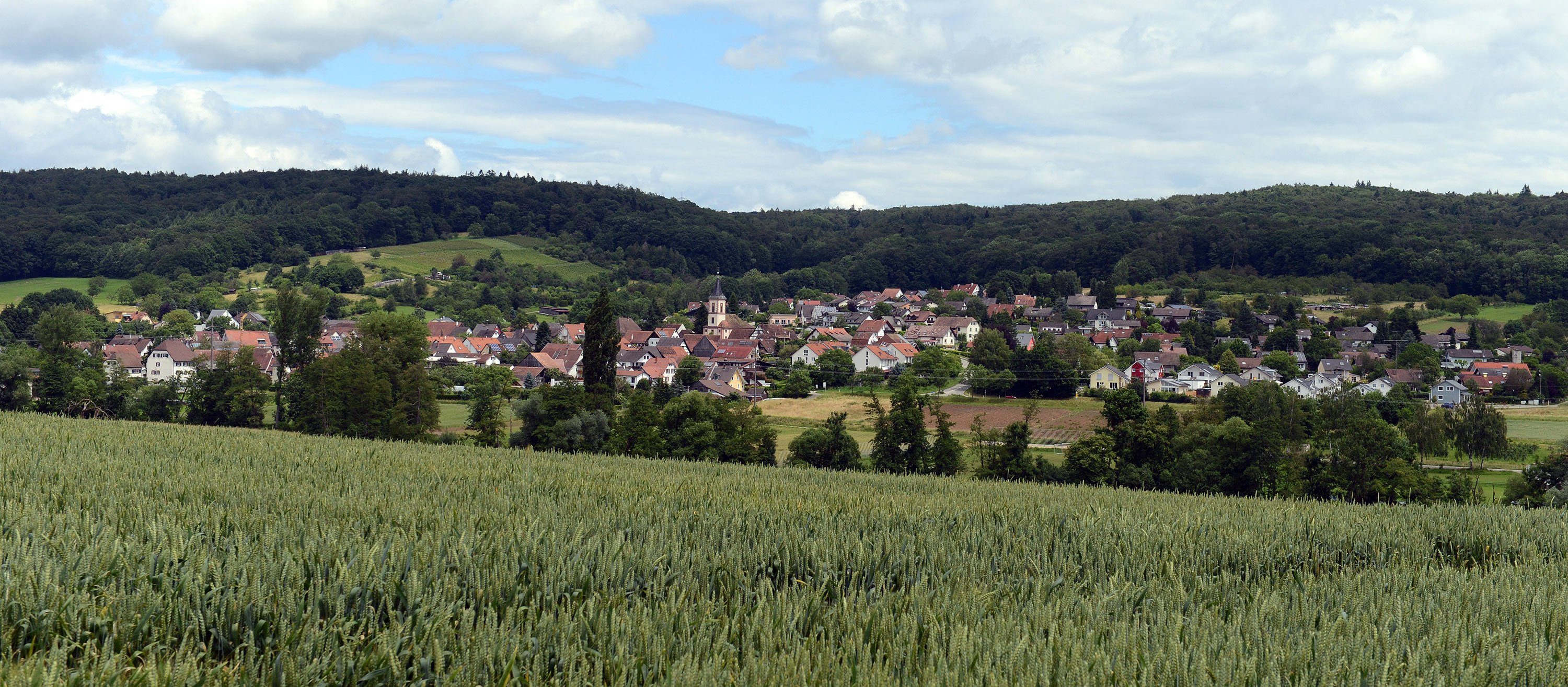 Foto der Gemeinde Wittlingen